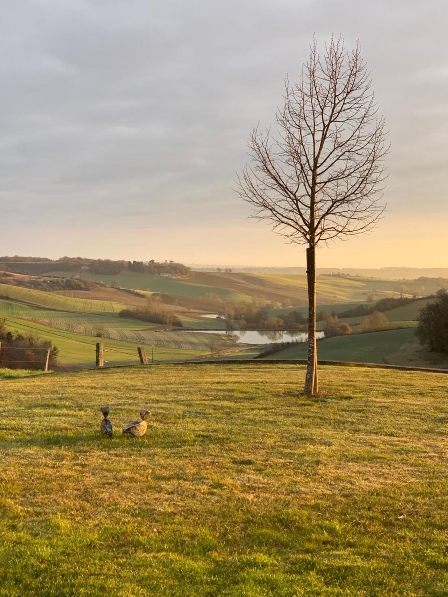 Logement Entier De Charme, Gite Equestre Gers Flamarens ภายนอก รูปภาพ
