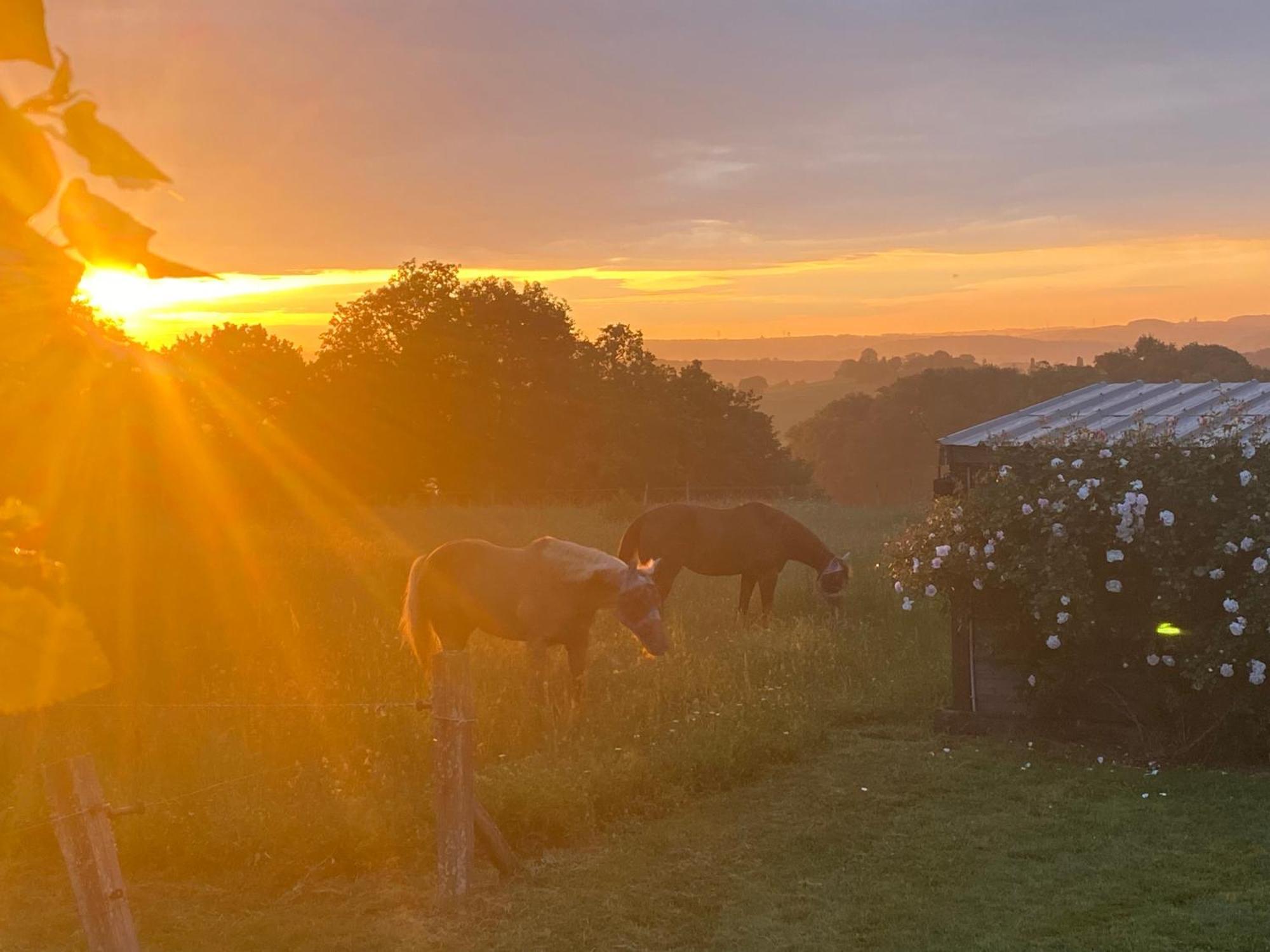 Logement Entier De Charme, Gite Equestre Gers Flamarens ภายนอก รูปภาพ
