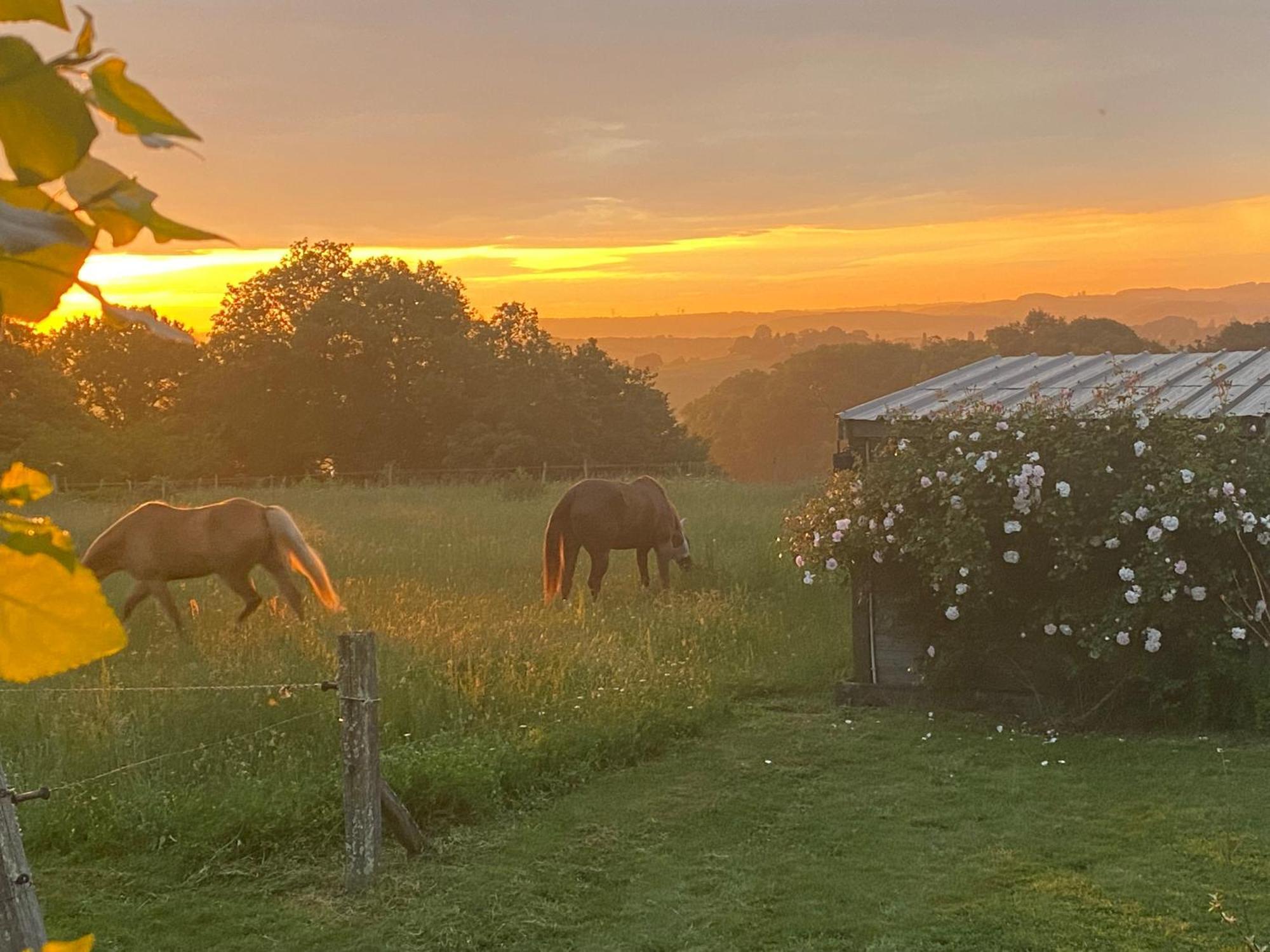 Logement Entier De Charme, Gite Equestre Gers Flamarens ภายนอก รูปภาพ