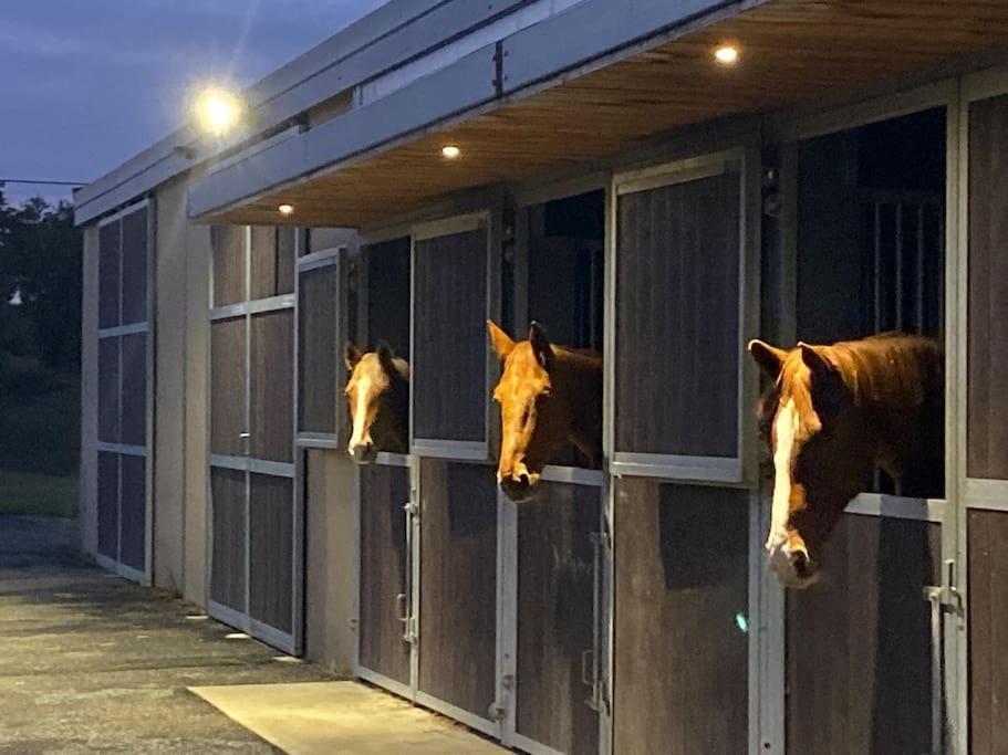 Logement Entier De Charme, Gite Equestre Gers Flamarens ภายนอก รูปภาพ