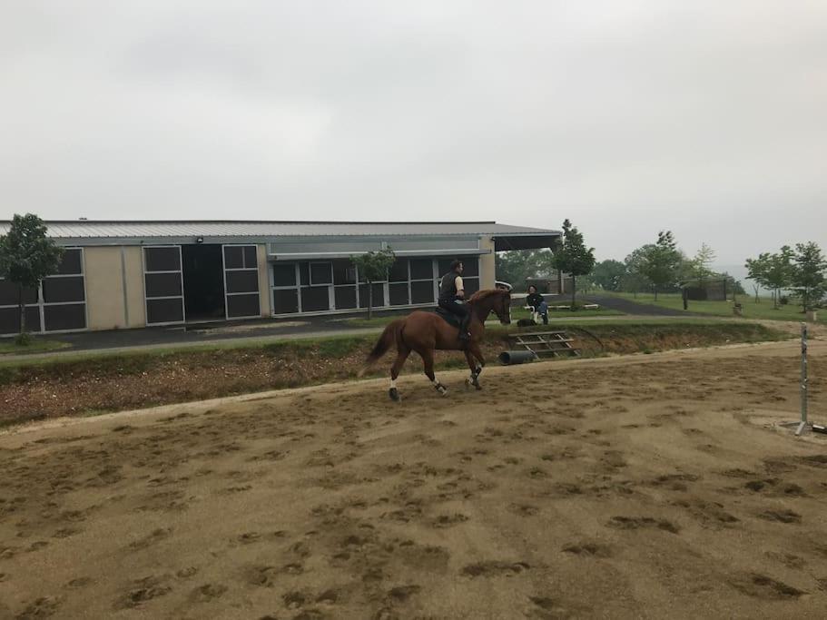Logement Entier De Charme, Gite Equestre Gers Flamarens ภายนอก รูปภาพ