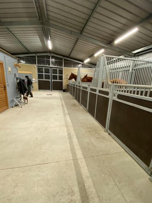 Logement Entier De Charme, Gite Equestre Gers Flamarens ภายนอก รูปภาพ