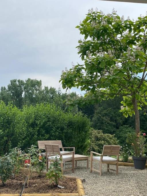 Logement Entier De Charme, Gite Equestre Gers Flamarens ภายนอก รูปภาพ